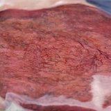 Aleph Farms produit de la viande cultivée en laboratoire. La firme israélienne a présenté en 2018 son premier steak, puis un ribeye en 2021 et du collagène en 2022. Elle veut désormais cultiver de la viande de haute qualité à Kempthal (ZH) et y établir sa base de production pour l'Europe. KEYSTONE/ANDREAS BECKER